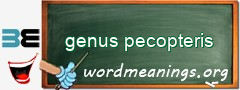 WordMeaning blackboard for genus pecopteris